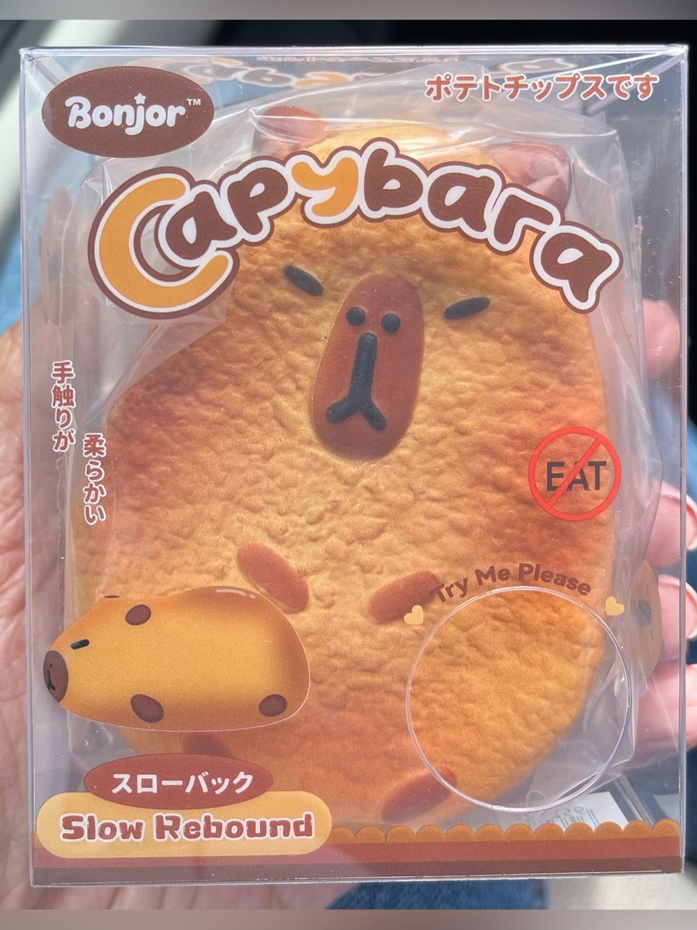 Capybara Slow Rebound Squishy. Stress Relief Toy. - Picture 2 of 2